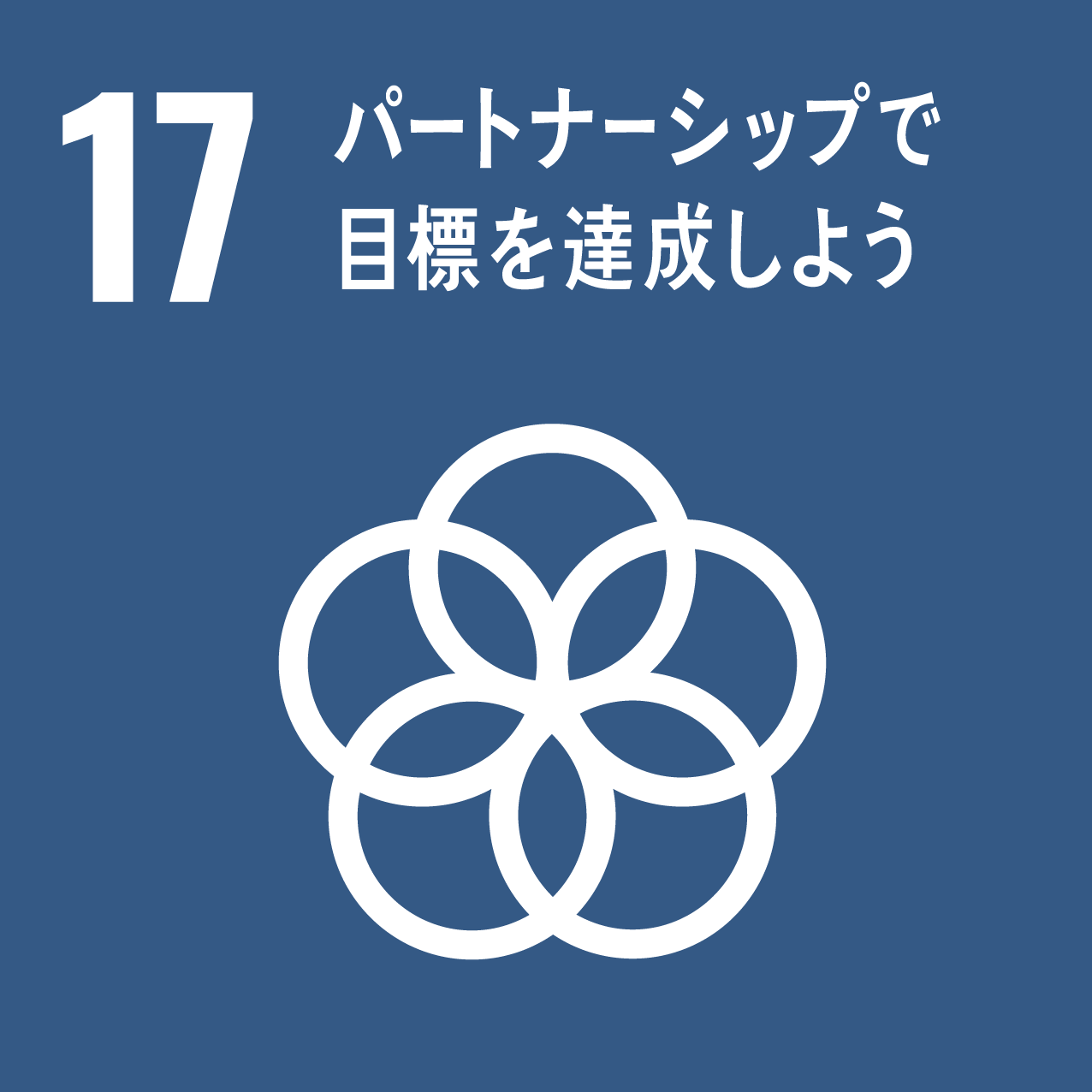 17．パートナーシップで目標を達成しよう ― 持続可能な開発に向けて実施手段を強化し、グローバル・パートナーシップを活性化する。